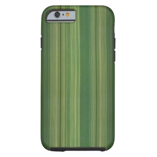 Bamboo Case