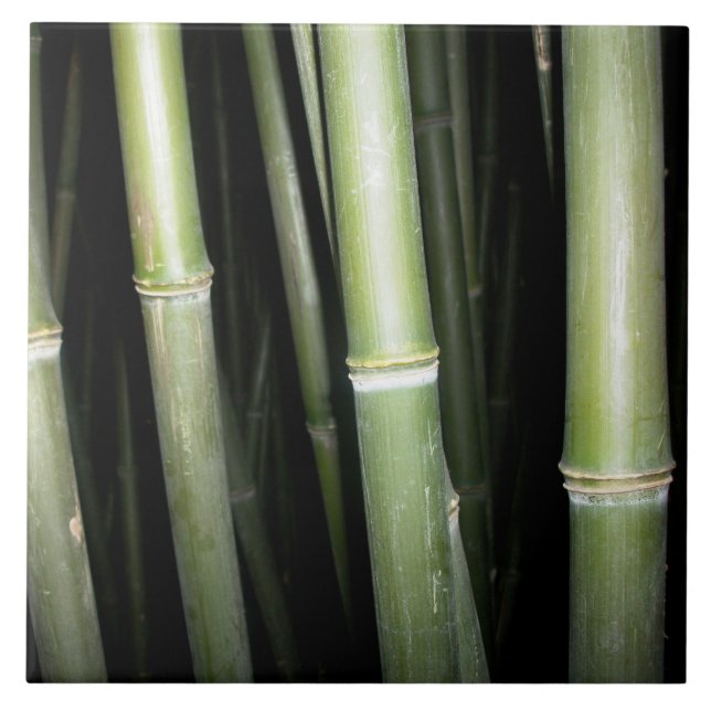 Bamboo Design Wall Tile (Front)