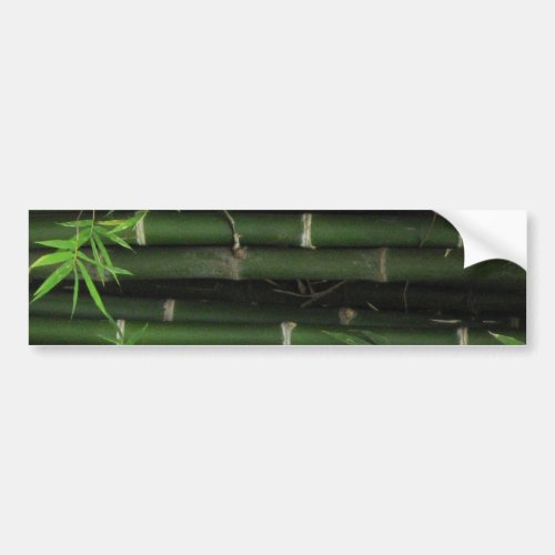 Bamboo  Fao Rai Nong Khai Isaan Thailand Bumper Sticker