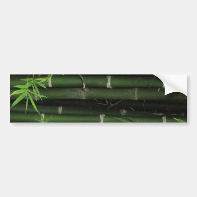 Bamboo ... Fao Rai, Nong Khai, Isaan, Thailand Bumper Sticker (Front)