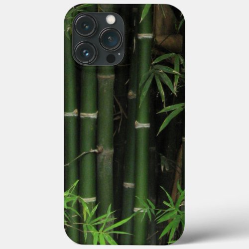 Bamboo  Fao Rai Nong Khai Isaan Thailand iPhone 13 Pro Max Case