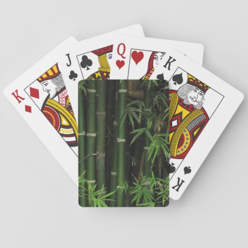 Bamboo  Fao Rai Nong Khai Isaan Thailand Poker Cards