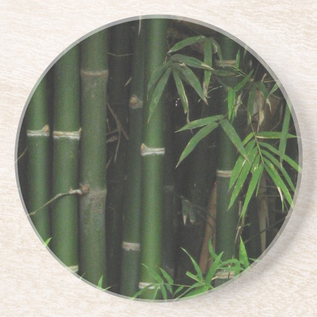 Bamboo ... Fao Rai, Nong Khai, Isaan, Thailand Sandstone Coaster (Front)