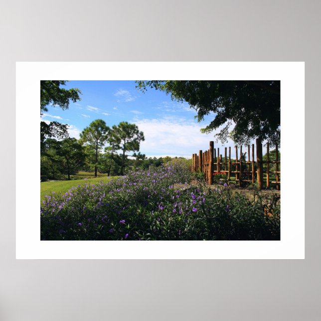 Bamboo Fence Perspective Poster (Front)