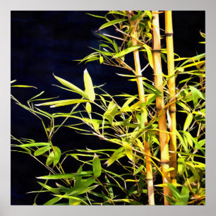 Bamboo Foliage Tropical Art On Black Poster