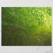 Bamboo forest (Front)