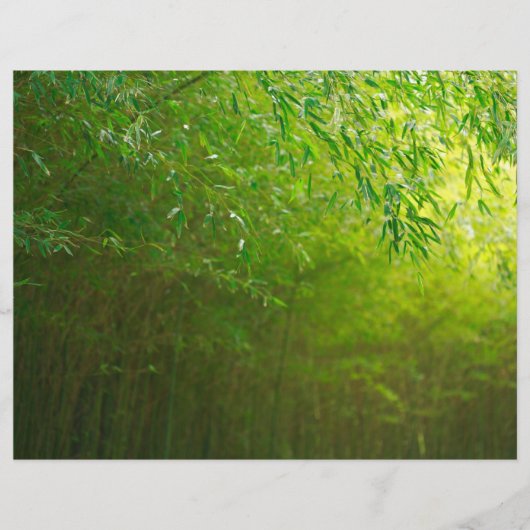 Bamboo forest (Front)