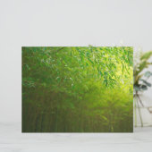 Bamboo forest (Standing Front)