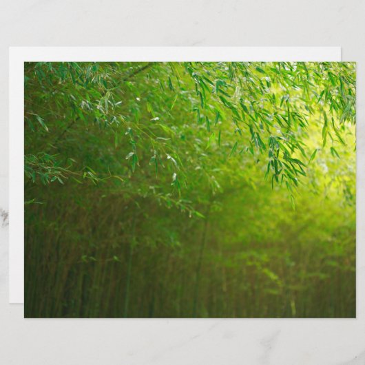 Bamboo forest (Front/Back)