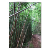 Bamboo Forest (Front)