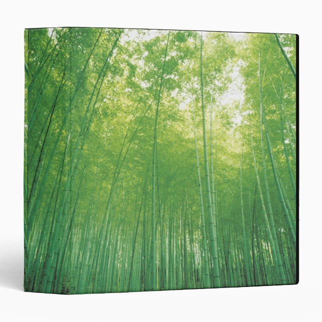 Bamboo Forest 2 3 Ring Binder (Front/Spine)