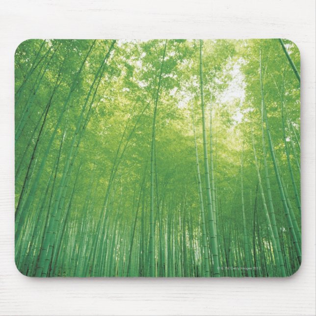 Bamboo Forest 2 Mouse Pad (Front)