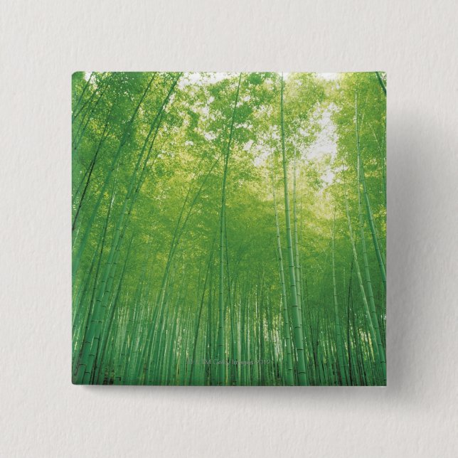 Bamboo Forest 2 Pinback Button (Front)
