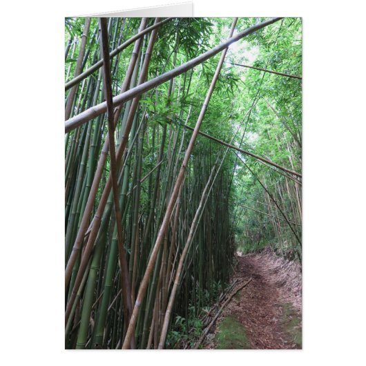 Bamboo Forest Cards (Front)