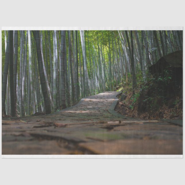 Bamboo Forest Decoupage 12 Background  Tissue Paper (Front)