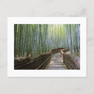 Bamboo Forest in Sagano, Kyoto Postcard
