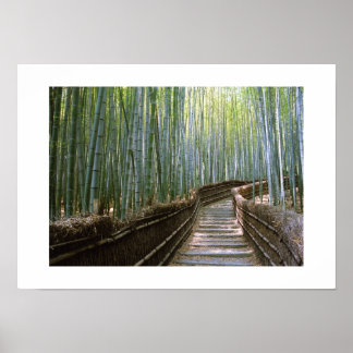 Bamboo Forest: Kyoto, Japan Poster