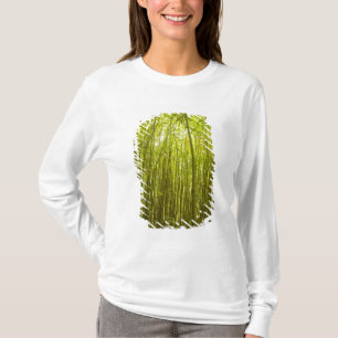 Bamboo Forest near Waikamoi Ridge Trail, North T-Shirt