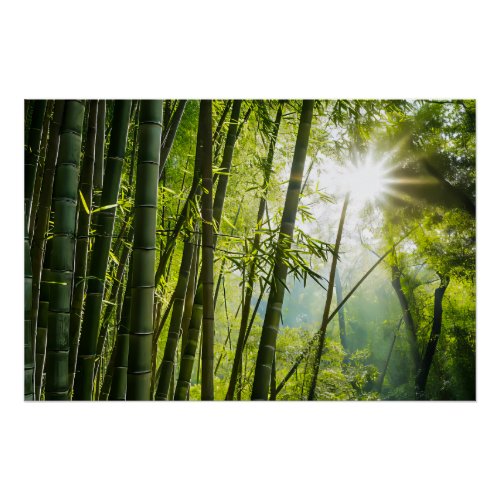 Bamboo Forest Poster