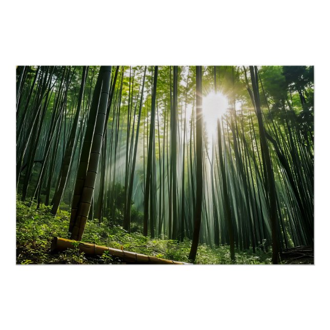 Bamboo Forest Poster (Front)