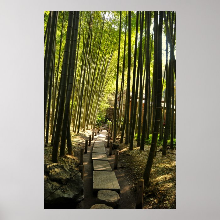 Bamboo Forest Posters