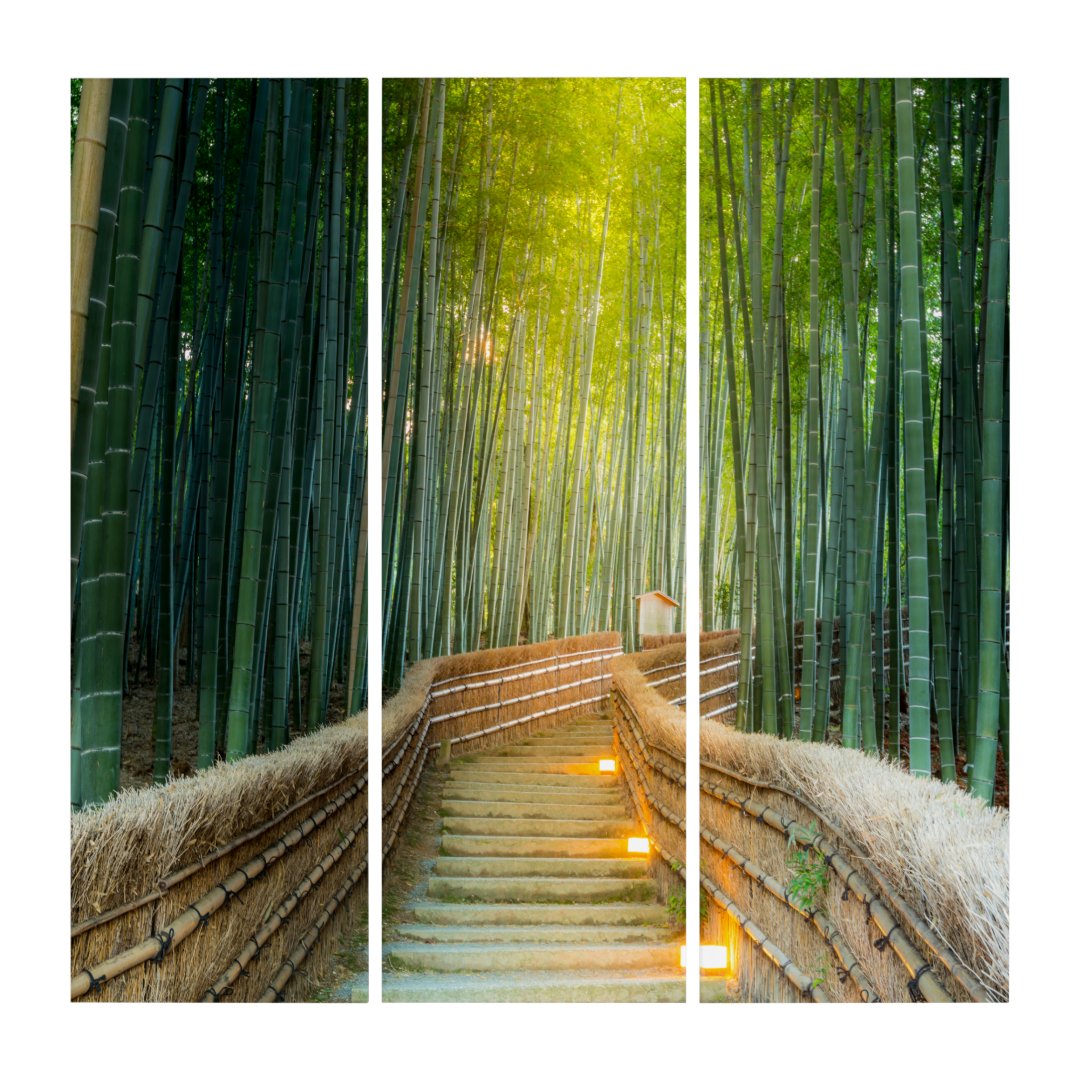 Bamboo Forest Triptych | Zazzle