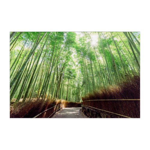 Bamboo Grove  Arashiyama Kyoto Japan Acrylic Print