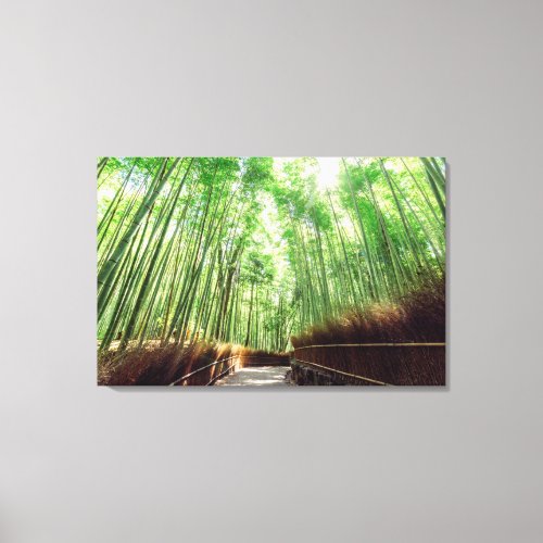 Bamboo Grove  Arashiyama Kyoto Japan Canvas Print