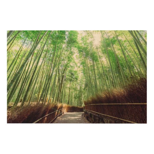 Bamboo Grove  Arashiyama Kyoto Japan Wood Wall Art