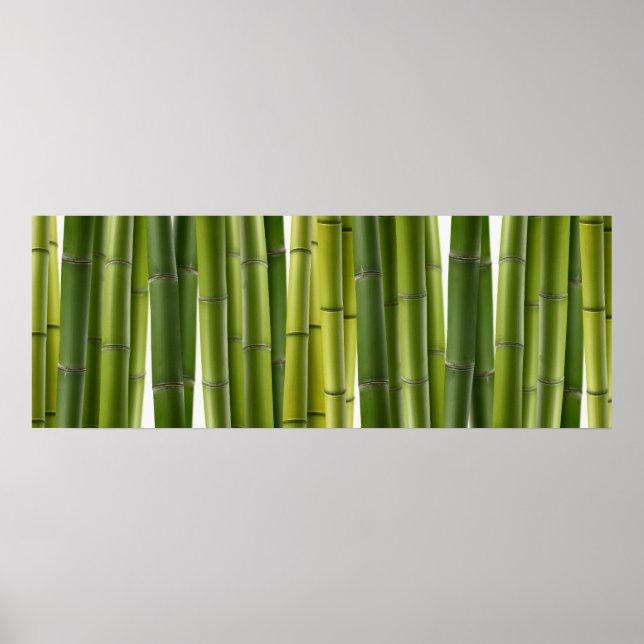 Bamboo Grove Poster (Front)