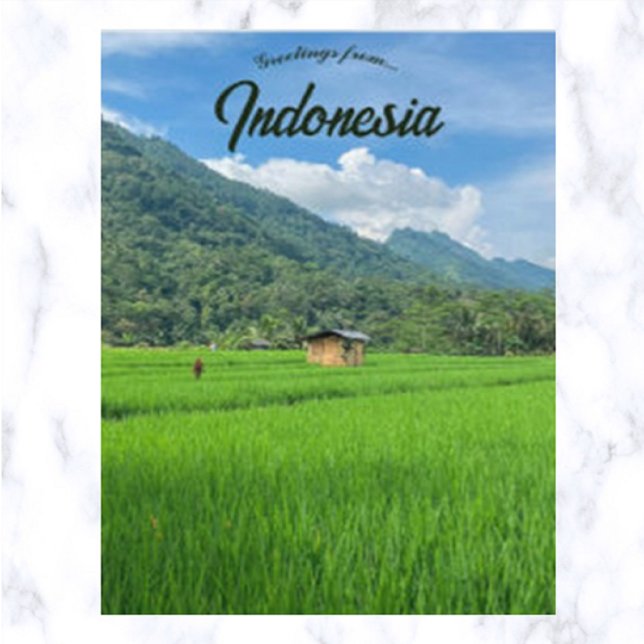 Bamboo Hut in a Rice Field in Indonesia Postcard (Creator Uploaded)