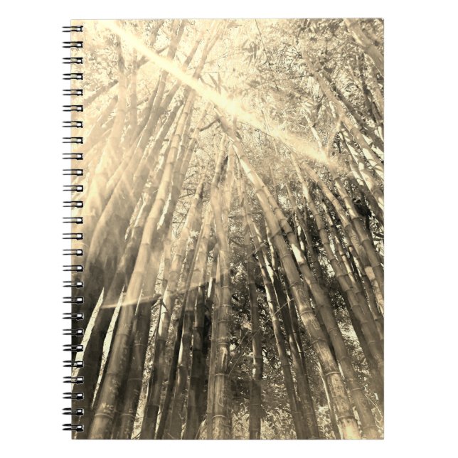 Bamboo in Sepia Notebook  (Front)