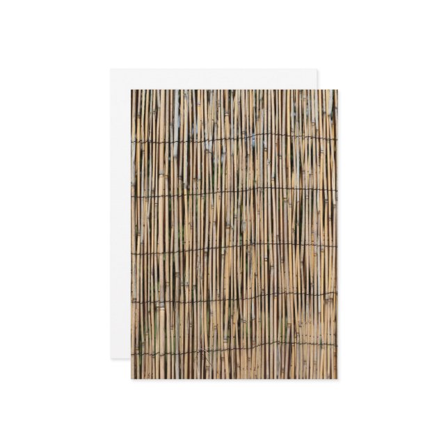 Bamboo Invitation (Front/Back In Situ)