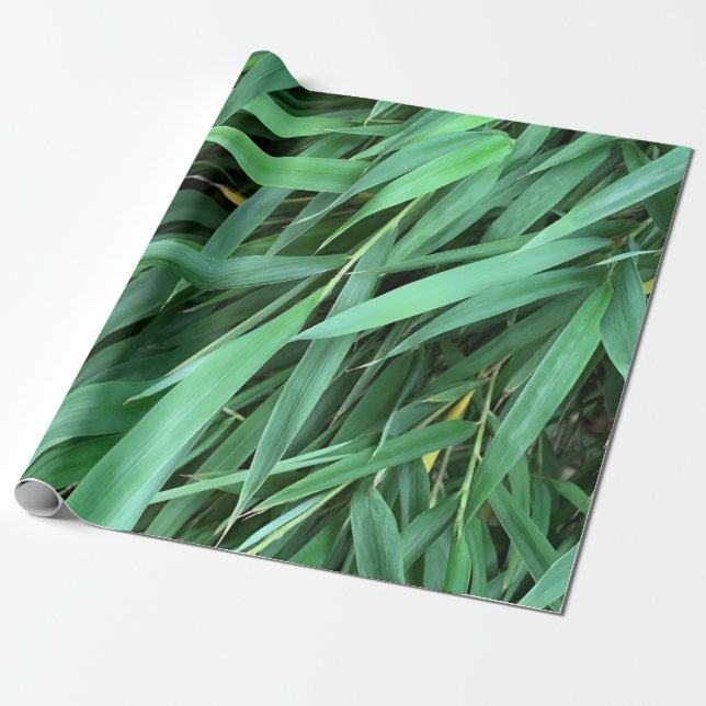 Bamboo leaves background wrapping paper (Unrolled)