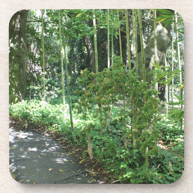 Bamboo Path Beverage Coaster (Front)