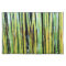 Bamboo Placemat