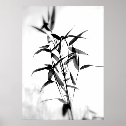 Bamboo Sillouette Poster