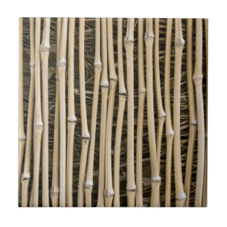 Bamboo Texture Tile