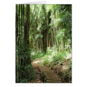 Bamboo Trail (Front)