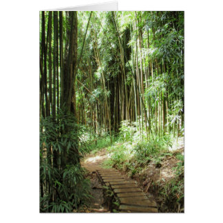 Bamboo Trail Cards