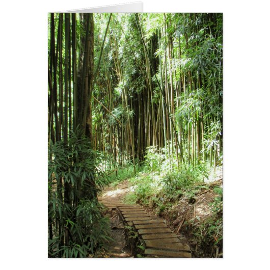 Bamboo Trail Cards (Front)