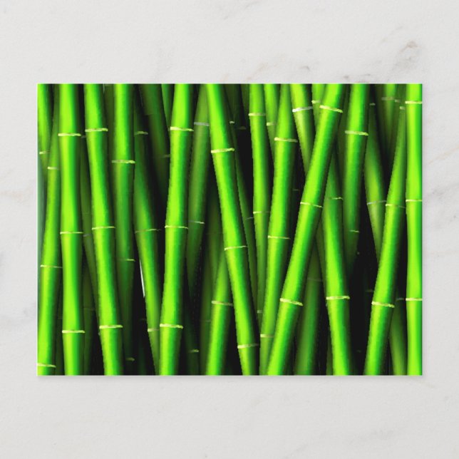 Bamboo tree natural pattern hipster fun trendy chi postcard (Front)