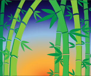 bamboo and wrapping paper zazzle