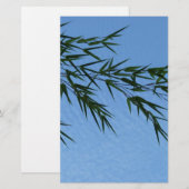 bambou sur ciel de nuages (Front/Back)