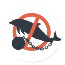 BAN DOLPHIN CAPTIVITY