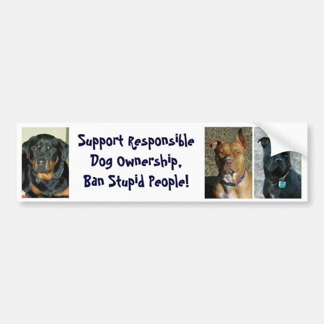 Ban Stupid People - Customized Bumper Sticker (Front)