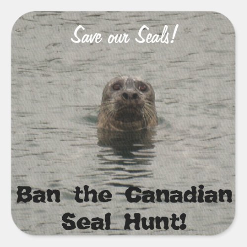 Ban the Canadian Seal Hunt Wildlife Support