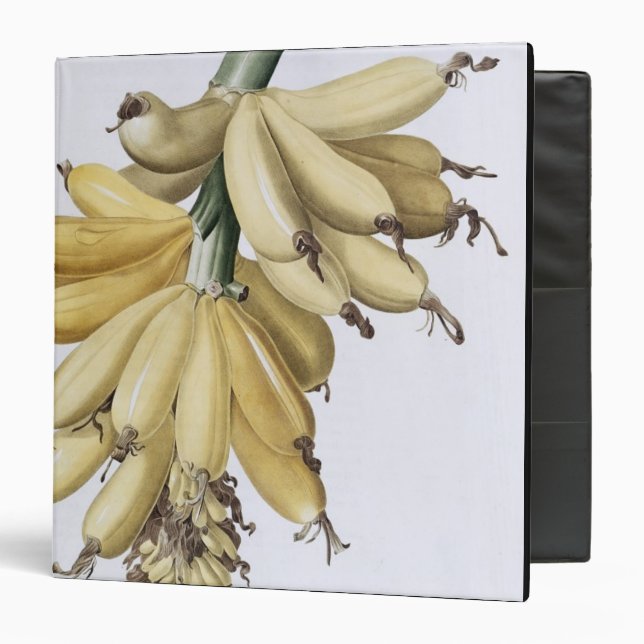 Banana, 1816 3 ring binder (Front/Inside)