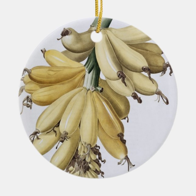 Banana, 1816 ceramic ornament (Front)