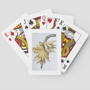 Banana, 1816 poker cards